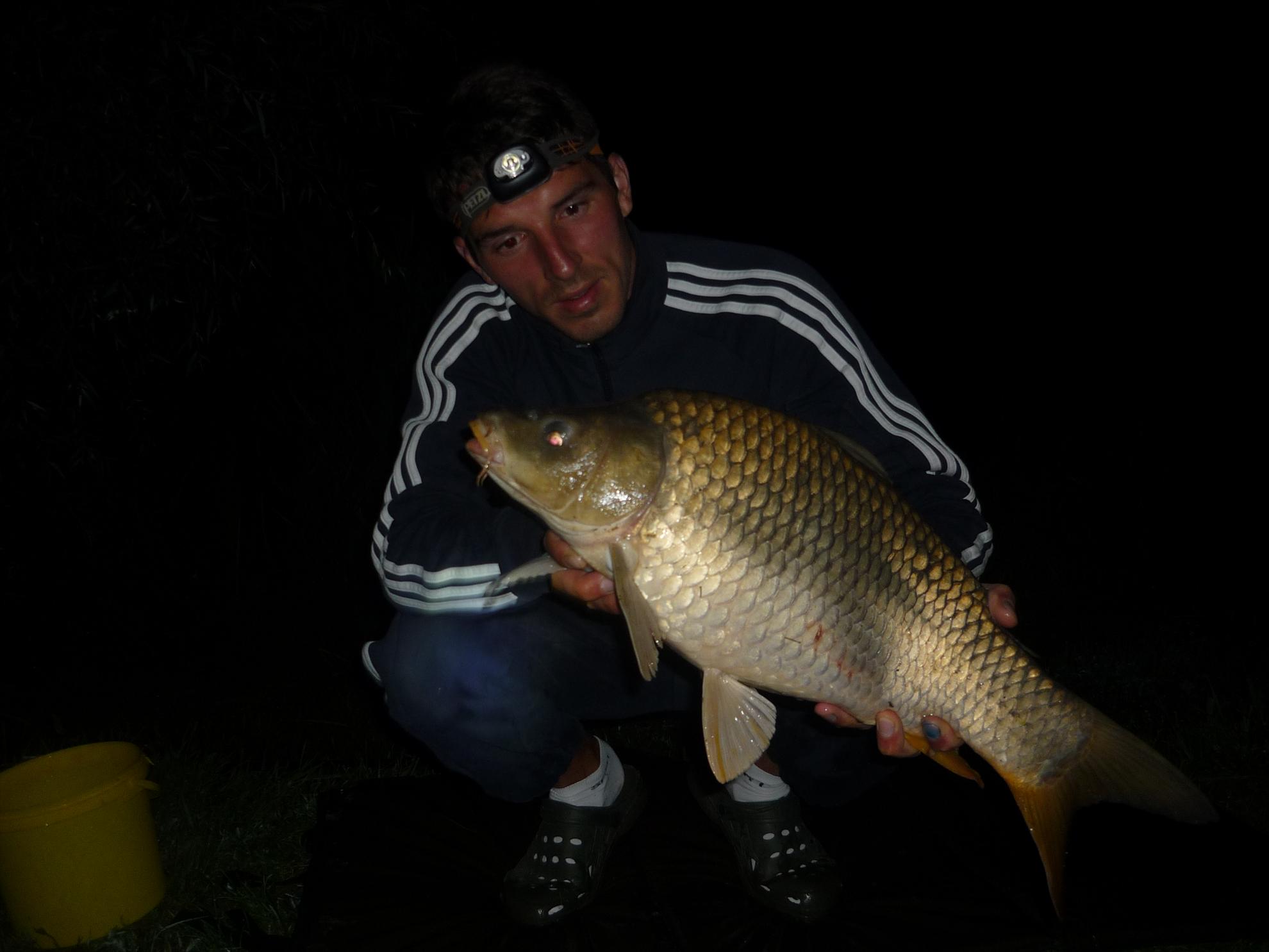 turulung - p1050569.JPG